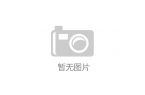 新品引领骑行科技新潮流安全智能成焦点不朽